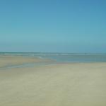 Week-end à Fort-Mahon (Picardie). La plage de Fort-Mahon à marée basse.