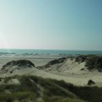 Week-end à Fort-Mahon (Picardie). Plage près du domaine de Marquenterre.