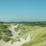 Week-end à Fort-Mahon (Picardie). Plage près du domaine de Marquenterre.