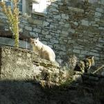 Visite de Martel en Quercy, dans le Lot