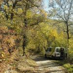 Près de Rocamadour, dans le Lot
