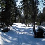 Ski de fond dans le Jura en février 2008 - Autour de la Gèque