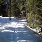 Ski de fond dans le Jura en février 2008 - Autour de la Gèque