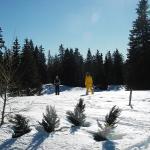 Ski de fond dans le Jura en février 2008 - Autour de la Gèque