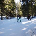 Ski de fond dans le Jura en février 2008 - Autour de la Gèque