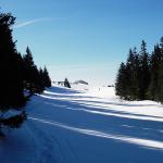 Rando du col de Mollendruz au Mont Tendre (Suisse)