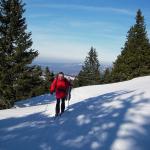 Rando du col de Mollendruz au Mont Tendre (Suisse)
