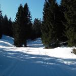 Rando du col de Mollendruz au Mont Tendre (Suisse)