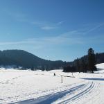 Rando du col de Mollendruz au Mont Tendre (Suisse)