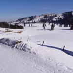 Rando sur le Mont Tendre (Suisse) - Photo Dahmani Hakimi