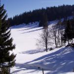 Rando sur le Mont Tendre (Suisse) - Photo Dahmani Hakimi