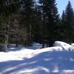 Ski de fond dans le Jura en février 2008 - Autour de la Gèque (photo Claude Deprun)