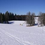 Ski de fond dans le Jura en février 2008 - Autour de la Gèque (photo Claude Deprun)