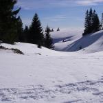 Rando sur le Mont Tendre (Suisse) - Photo Claude Deprun