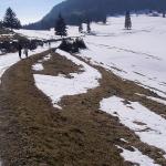 Rando sur le Mont Tendre (Suisse) - Photo Claude Deprun