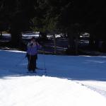 Ski de fond dans le Jura en février 2008 - Autour de la Gèque (photo Muriel Renou)