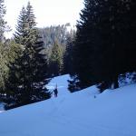 Rando sur le Mont Tendre (Suisse) - Photo Muriel Renou