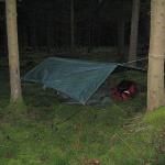 Rando dans le parc du Morvan - bivouac dans la forêt