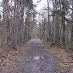 Sur les bords de Seine et en forêt