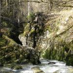 La Haute Semine, dans le Jura