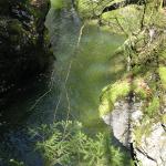La Haute Semine, dans le Jura