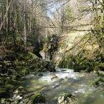 La Haute Semine, dans le Jura