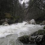 Dranse d\'Abondance - Rapide après le pont du Moulin (Fion) par gros niveau