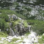 Parc du Triglav en Slovénie - Vallée des sept lacs, Koča pri Triglavskih jezerih, Vratca, Prehodci