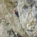 Escalade en artif à Peney près de Chambéry (Savoie) du 1er au 3 mai 2009