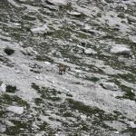 Dolomites - Zita, San Sebastiano - De l\'abri La Vareta au chalet Angelini