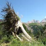Dolomites - Contrin, Valacia - De l\'abri Dal Bianco à l\'abri Zeni
