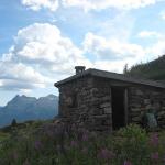 Dolomites - Cima Bocche - De l\'abri de pique-nique Iuribrutto à l\'abri Tellici