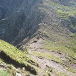 Dolomites - Cima Bocche - De l\'abri de pique-nique Iuribrutto à l\'abri Tellici