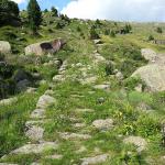 Dolomites - Cima Bocche - De l\'abri de pique-nique Iuribrutto à l\'abri Tellici