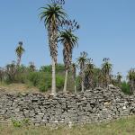 Zimbabwe - Site archéologique de Great Zimbabwe