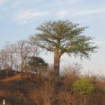 Zimbabwe - Sur la route entre Harare et le lac Kariba