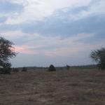Zimbabwe - Canoë sur le Zambèze entre Kariba et Mana Pools - Jour 3
