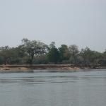 Zimbabwe - Canoë sur le Zambèze entre Kariba et Mana Pools - Jour 5