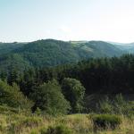 Marche en forêt et ballade \"naturaliste\" au Péchadour près d\'Alleyras