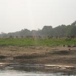Zimbabwe - Canoë sur le Zambèze entre Kariba et Mana Pools - Jour 5