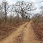 Zimbabwe - Parc naturel de Mana Pools