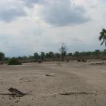Zimbabwe - Parc naturel de Mana Pools