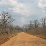 Zimbabwe - Parc naturel de Mana Pools