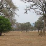 Zimbabwe - Parc naturel de Mana Pools