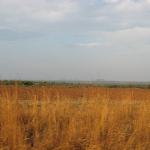 Zimbabwe - Parc naturel de Mana Pools