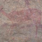Zimbabwe - Peintures rupestres à Ngomakurira (falaise)