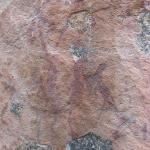 Zimbabwe - Peintures rupestres à Ngomakurira (falaise)