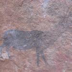 Zimbabwe - Peintures rupestres à Ngomakurira (falaise)