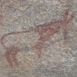 Zimbabwe - Peintures rupestres à Ngomakurira (falaise)