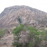 Zimbabwe - Peintures rupestres à Ngomakurira (falaise)